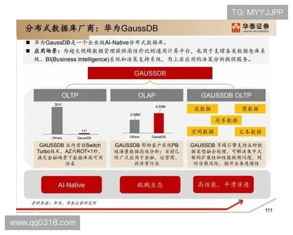 北京篮球队选拔赛节奏分析与表现评估全景解读